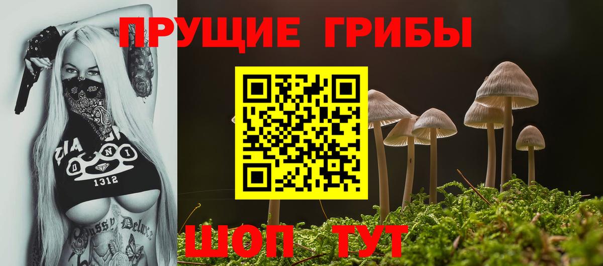 Галлюциногенные грибы мицелий Костомукша