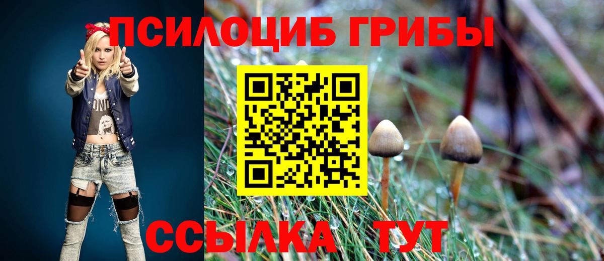 Псилоцибиновые грибы Psilocybine cubensis  Вход с VPN  Костомукша 